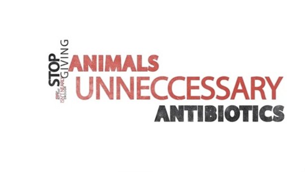 Overuse of antibiotics in animals is dangerous for people