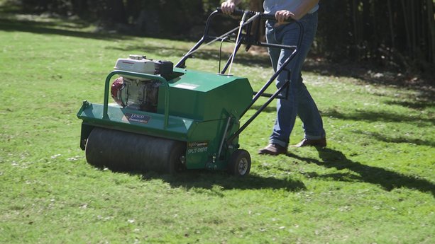 Fall Lawn Care in 3 Easy Steps
