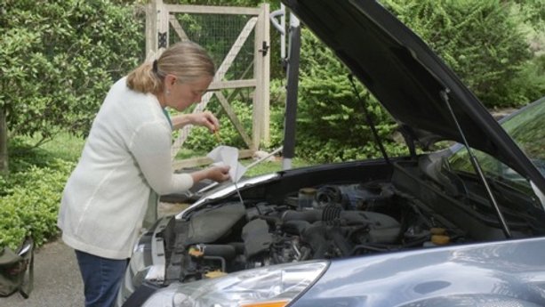 Cars That Guzzle Oil