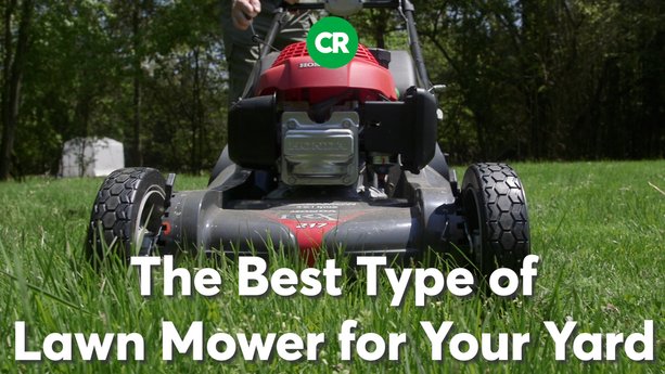 The Best Type of Lawn Mower for Your Yard