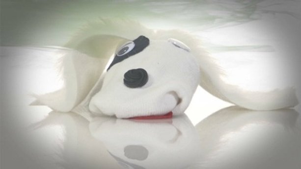 How to de-skunk your dog