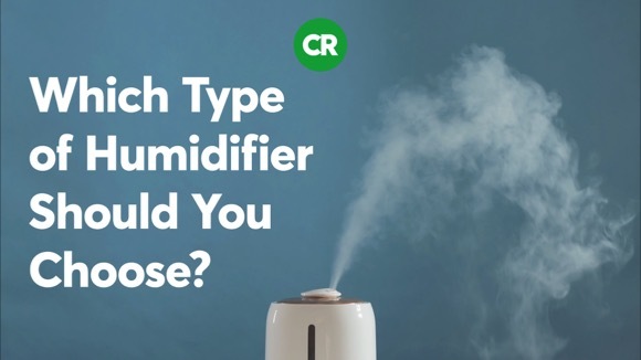 Which type of humidifier should you choose?