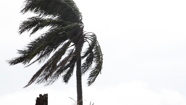 Lost Power? What You Should Do