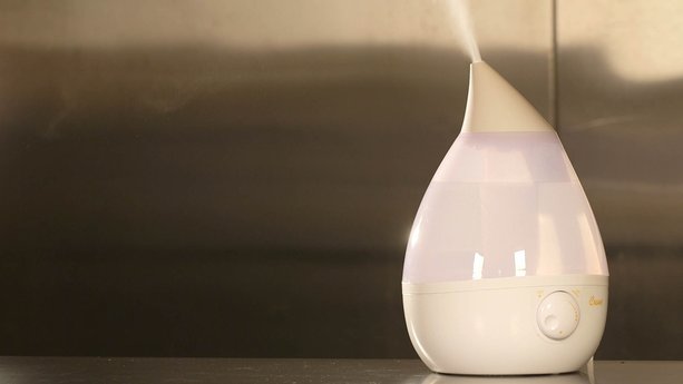 Humidifier Buying Guide