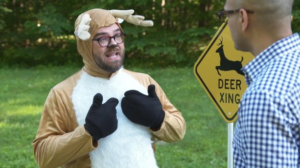 How to Avoid a Deer Strike