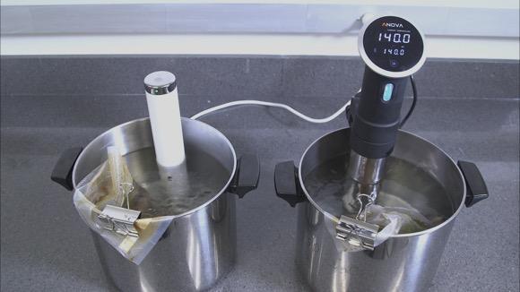 Sous Vide Cookers: CR Tested and Explained 