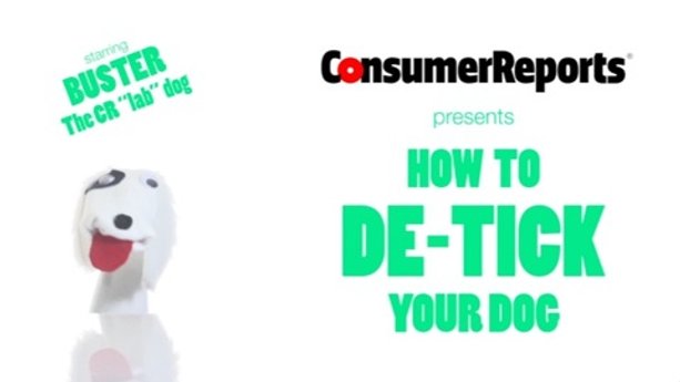 How to Safely "De-Tick" Your Dog