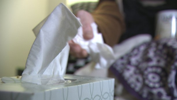 Treating a Cold: What Works?