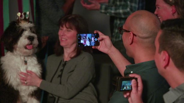 Smartphone vs Point-and-Shoot