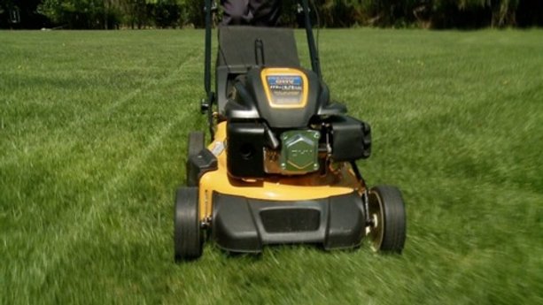 Lawn mower maintenance