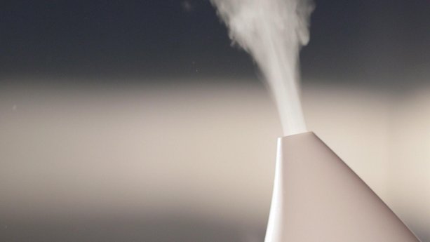 Bacteria-breeding Humidifiers
