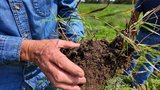 A Consumer’s Guide to Regenerative Agriculture