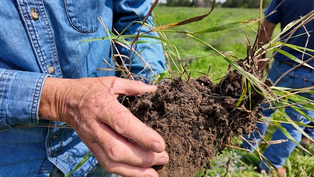 A Consumer’s Guide to Regenerative Agriculture