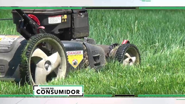 Resumen de Taller del Consumidor Episodio 26