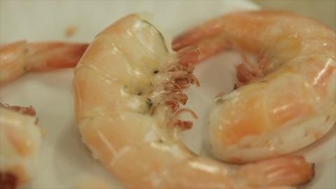 Farmed vs. Wild Shrimp: Which Tastes Better?