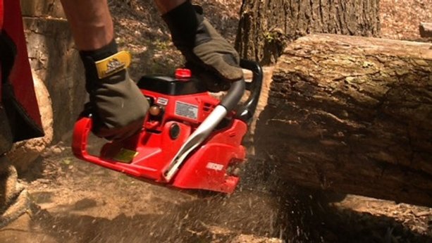 Chain Saw Buying Guide