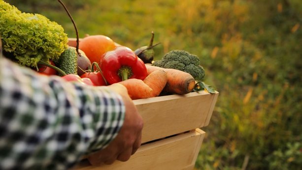 Porqué las verduras son un bocadillo perfecto
