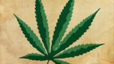 Medical Marijuana: Five Facts You Might Not Know