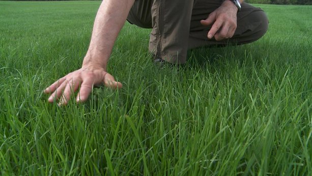 Don't Bother Spreading so Much Fertilizer