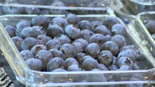 Blueberry fake-out