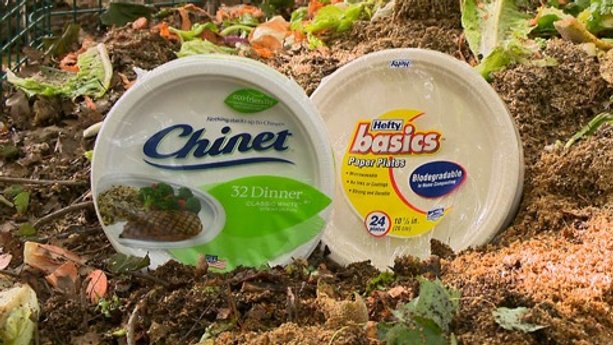 Biodegradable paper plates