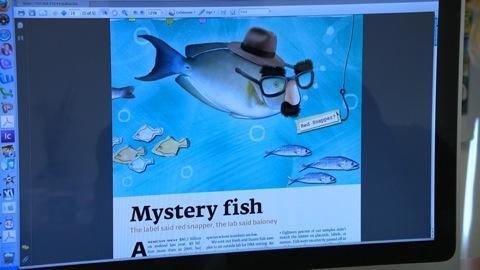 Mystery fish 