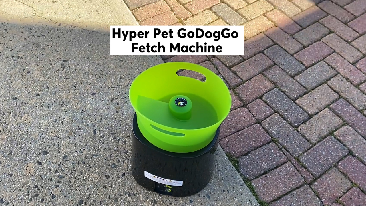 best ball launcher for dogs