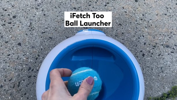 iFetch Too Ball Launcher