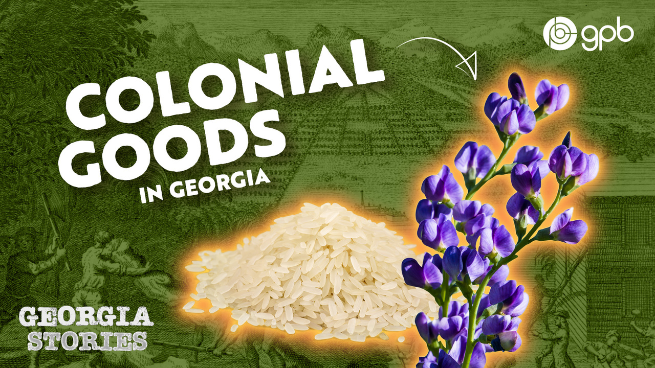 Georgia's role in the events leading to the Revolution | Georgia History  Class Notes, image size:1280x720