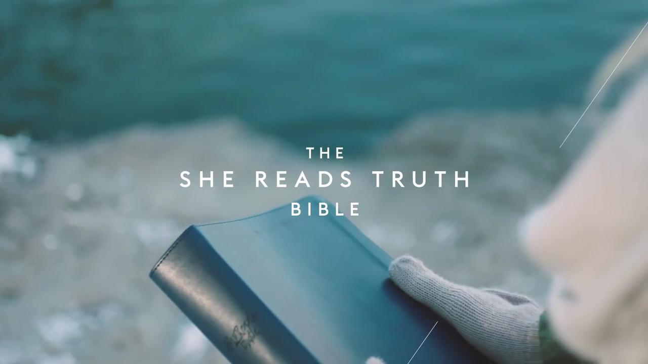 She Reads Truth Scripture Cards