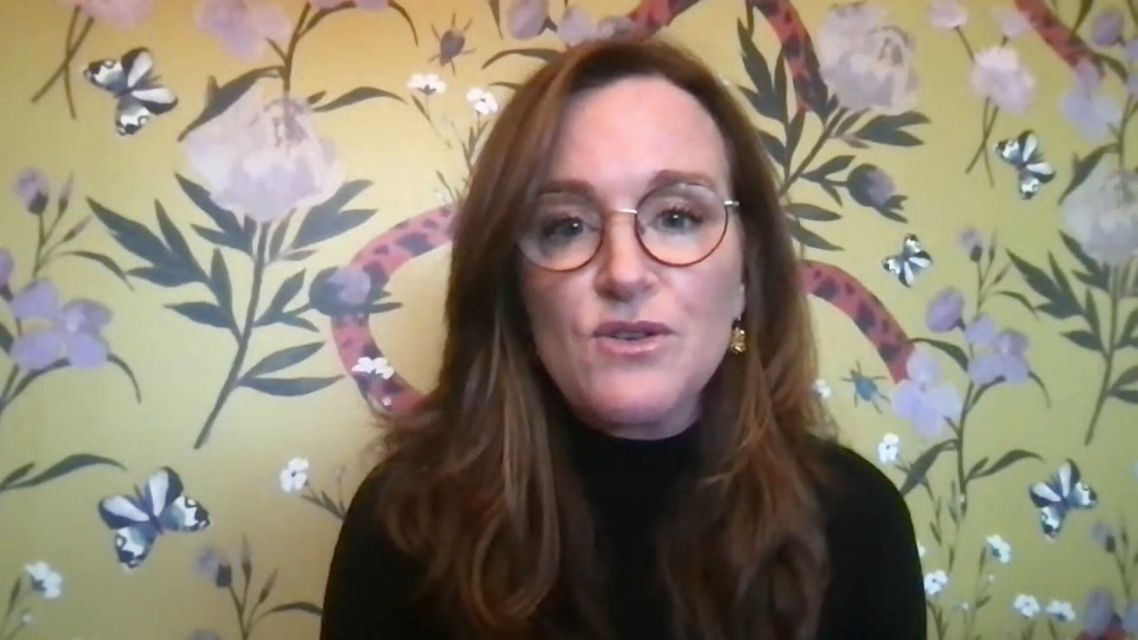 <div>Kathleen Rice: 'More and more' are running for Congress ‘to be performance artists’</div>