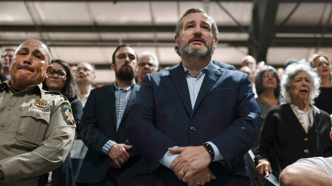 <div>Ted Cruz advocates for NRA in school shooting's wake</div>