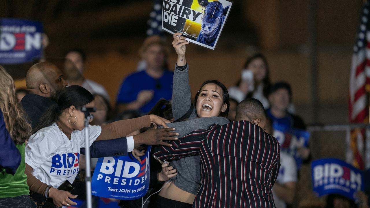 Protesters Interrupt Biden Rally - POLITICO