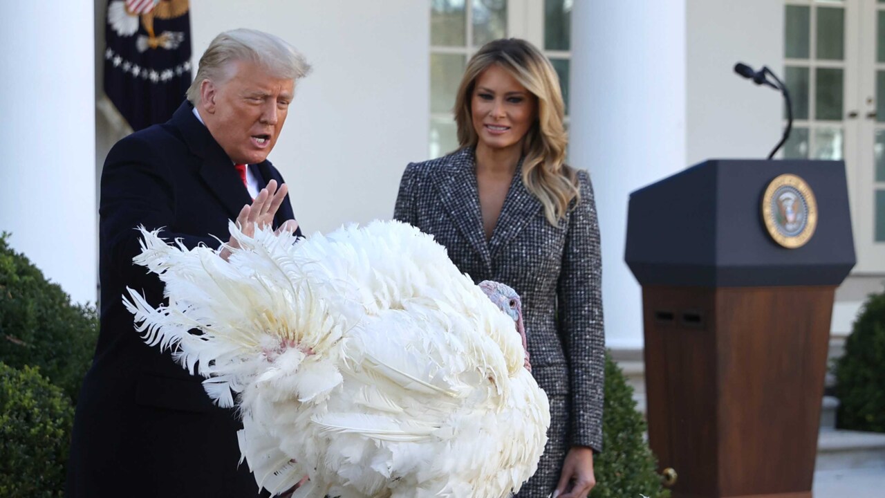 Trump cracks jokes during turkey pardon