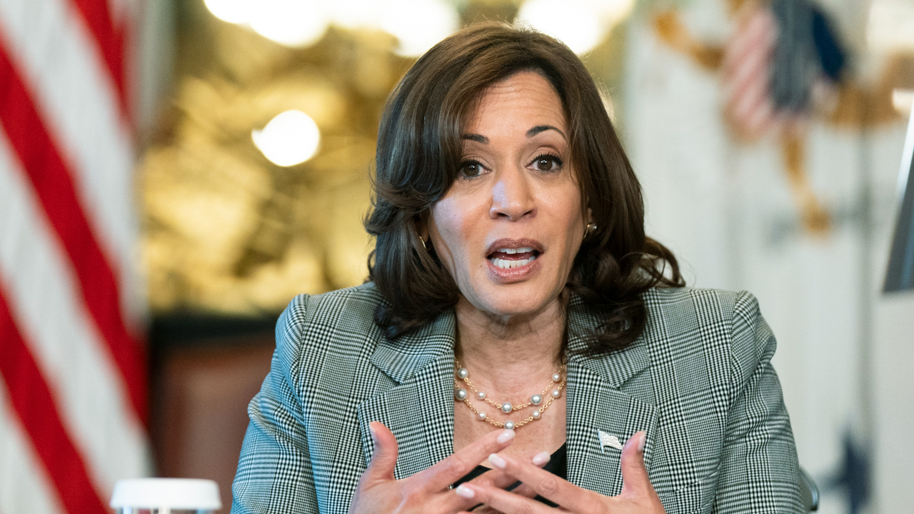 'They insult us': Harris hits DeSantis over Florida's new U.S. history standards