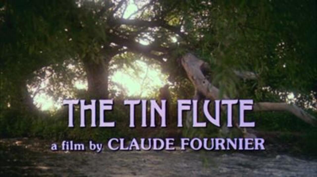 The Tin Flute