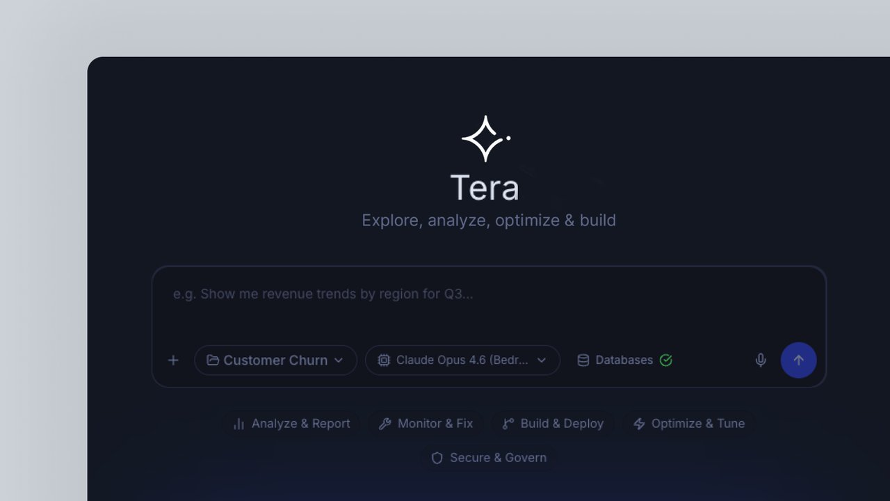 Tera in Action: From Business Question to Customer Insight