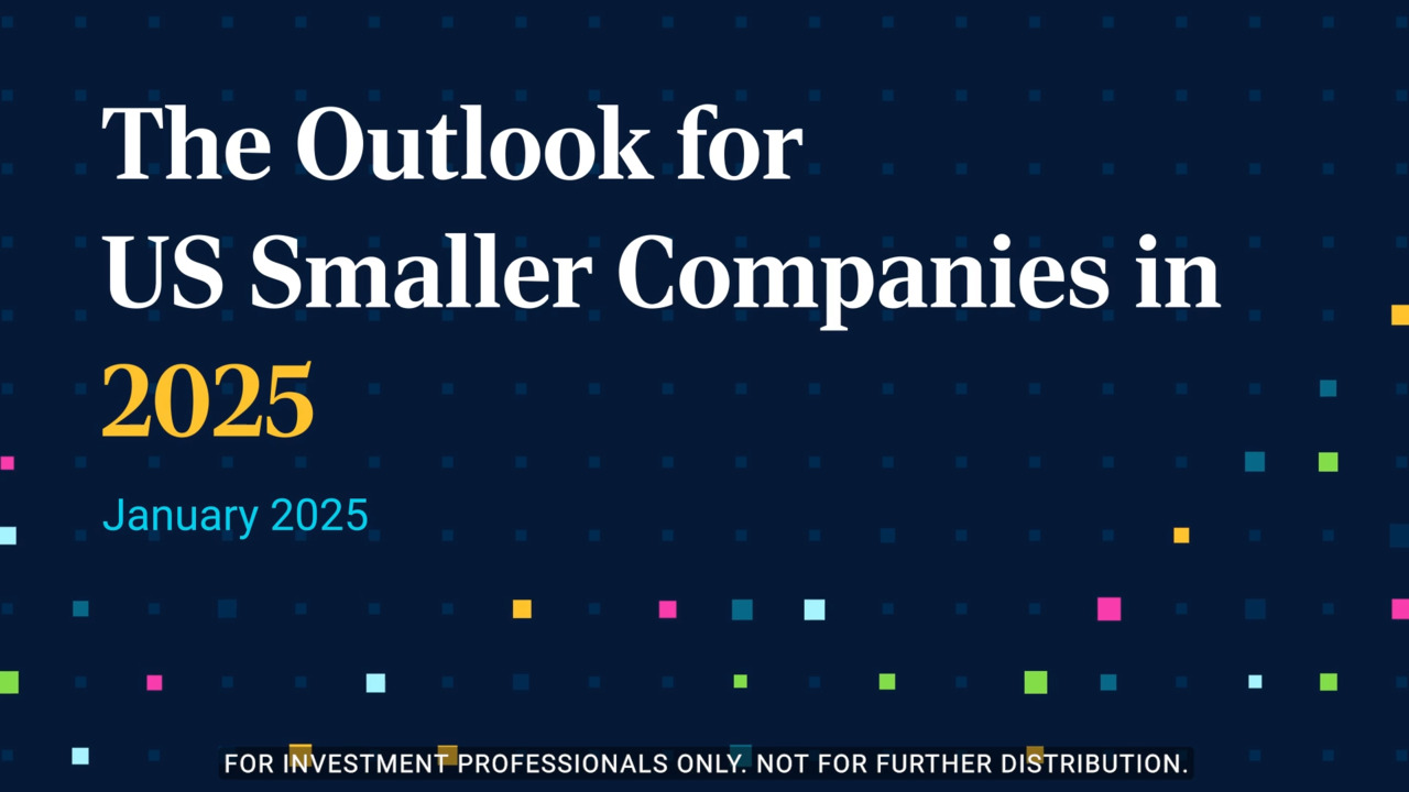 The Outlook for US Smaller Companies in 2025