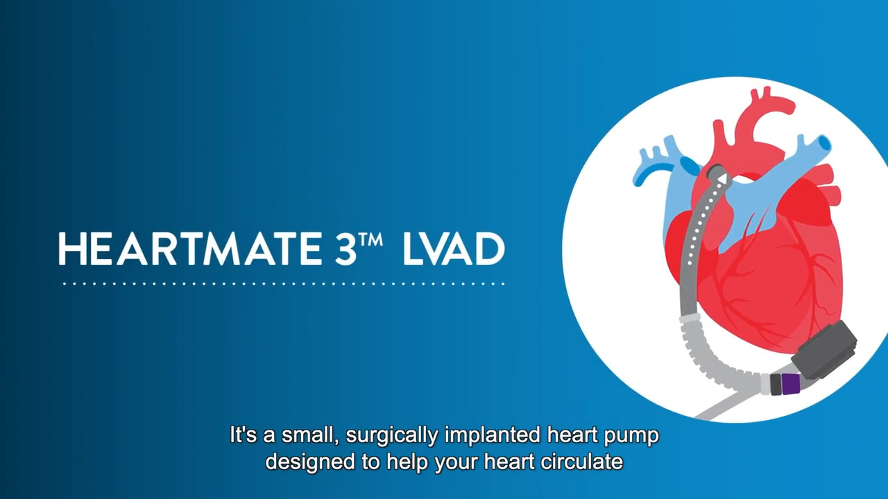 Liquid Modernity-l Heart 3種類 2023 Zadig & Voltaire Mirka Hearts Cadigan Sweater Jumper Jacket