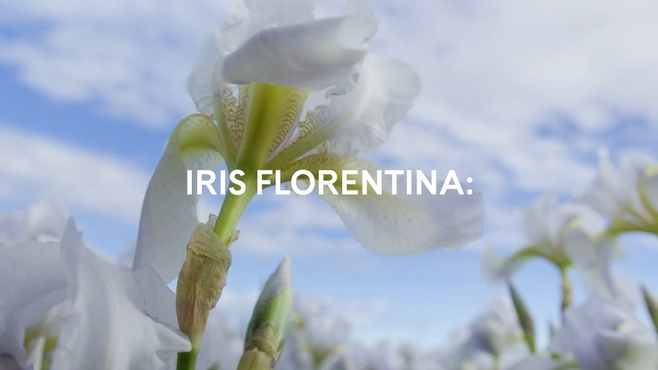 Artistry Labs™ Illuminating System | Beauty | Amway