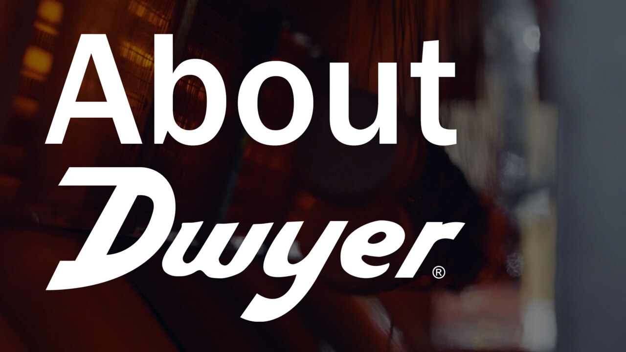 About Dwyer Company Overview