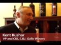 Tomorrow's CIO: What it Takes in the Wine Industry