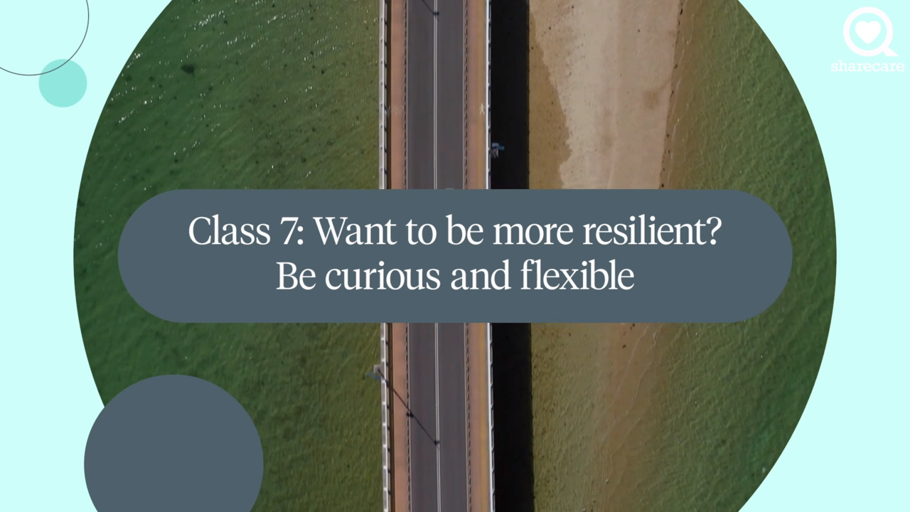 Roadmap to resilience: flexibility and curiosity