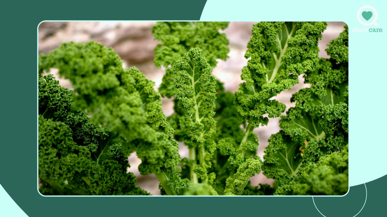 The health benefits of kale