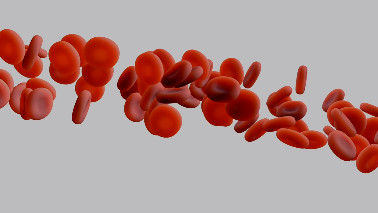 What is anemia?