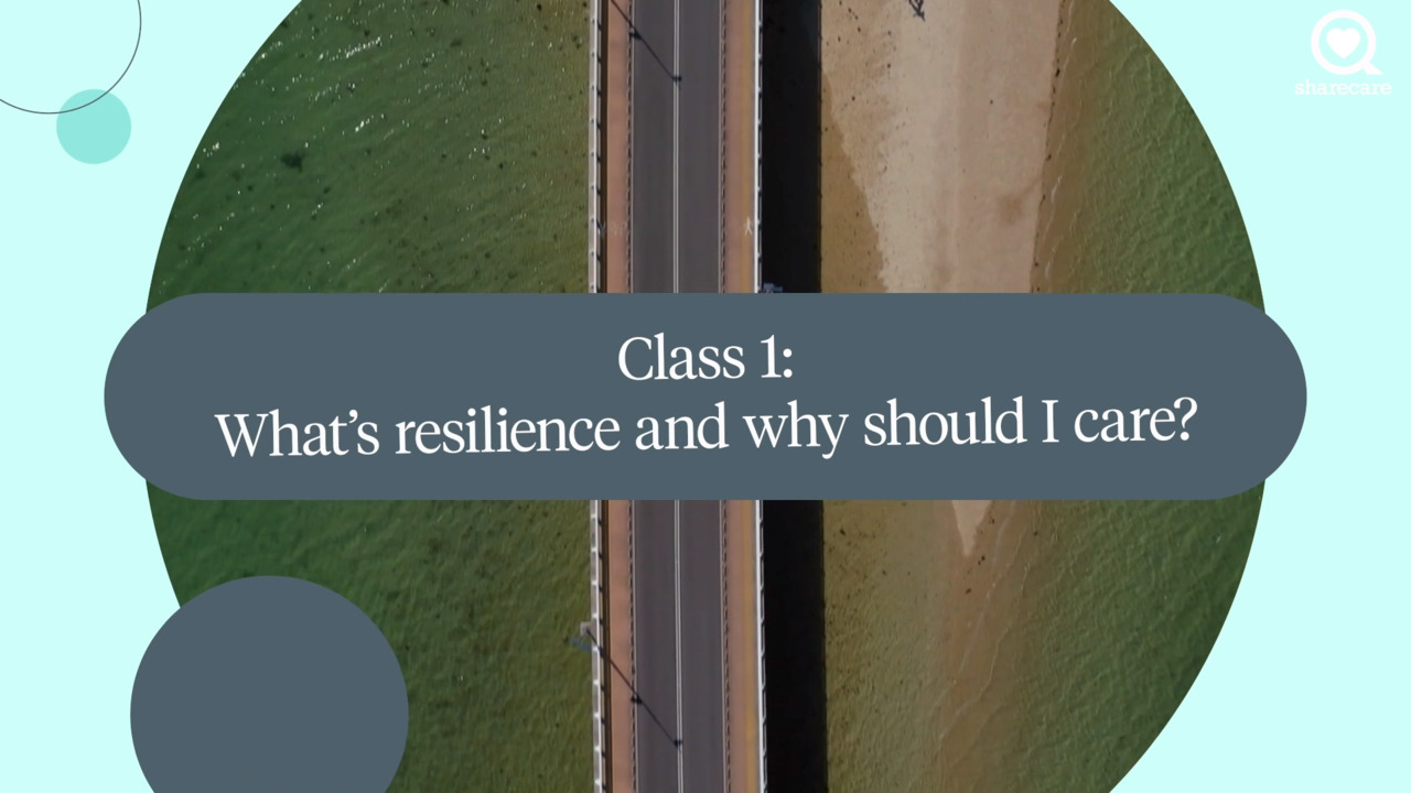 Roadmap to Resilience: Learn to bend but not break