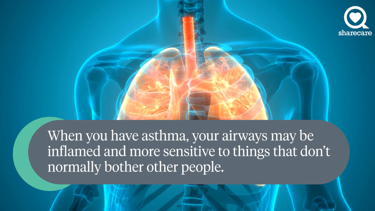 What is an asthma trigger?