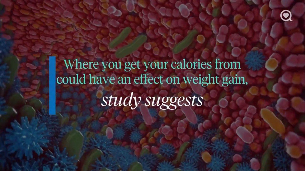 Where you get your calories from could have an effect on weight gain, study suggests