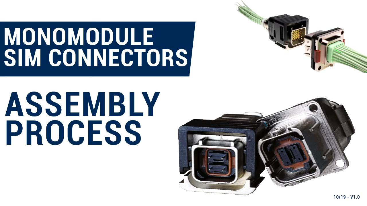SIM/EN4165 Assembly Process