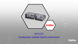 Molex Compactus Sealed Hybrid Connector System | Datasheet Preview Molex Compactus Sealed Hybrid Connector System | Datasheet Preview